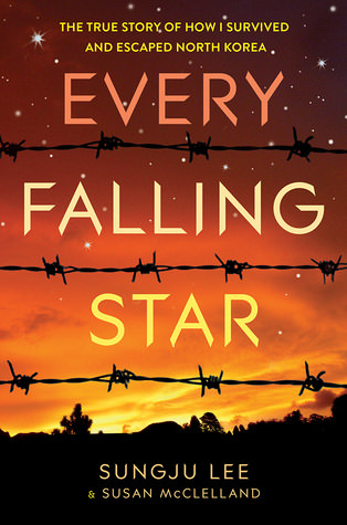 Review – Every Falling Star by Sungju Lee